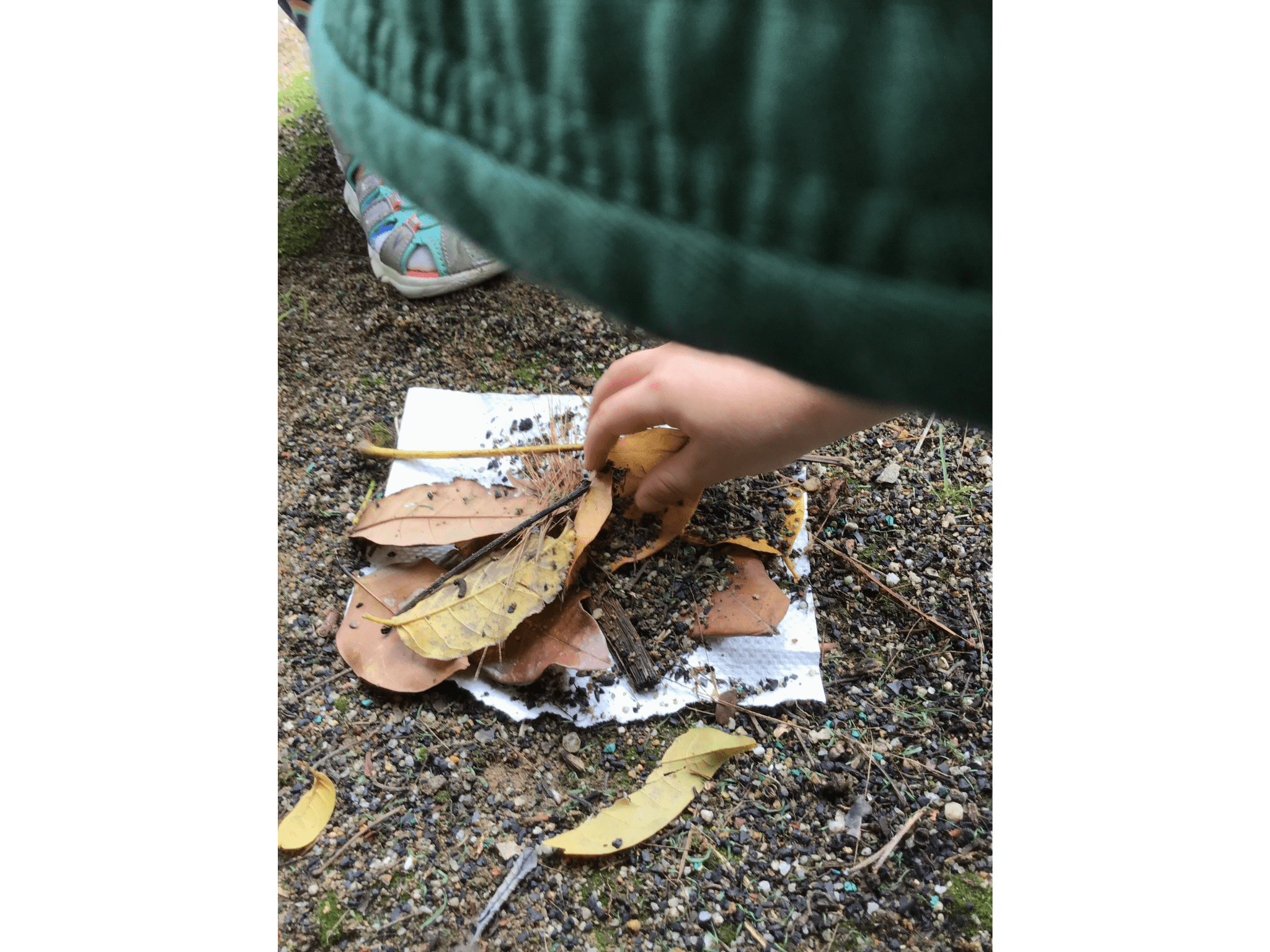 M717 - Outdoor Environment