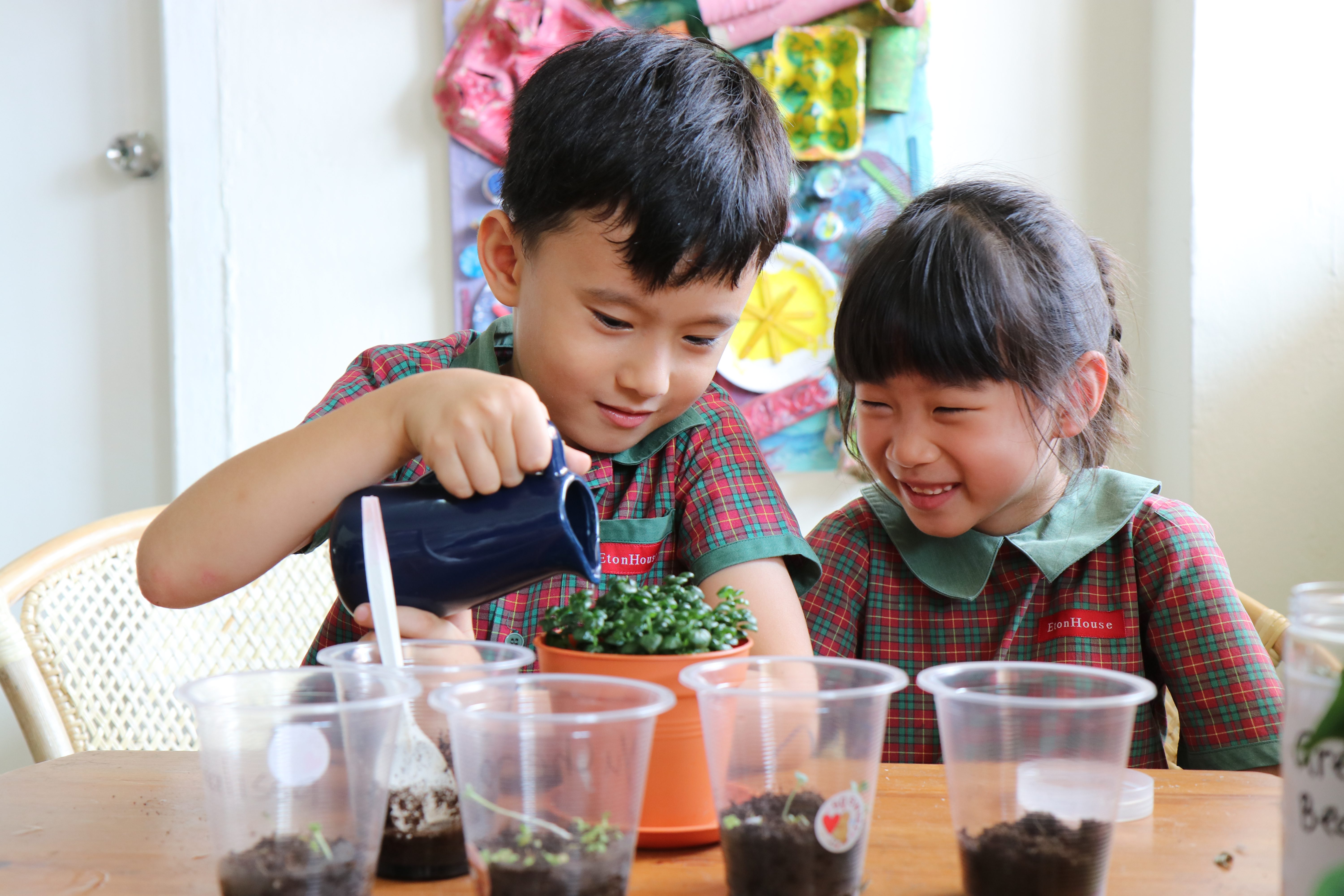 Challenging Traditional Thinking on Pre-School Education