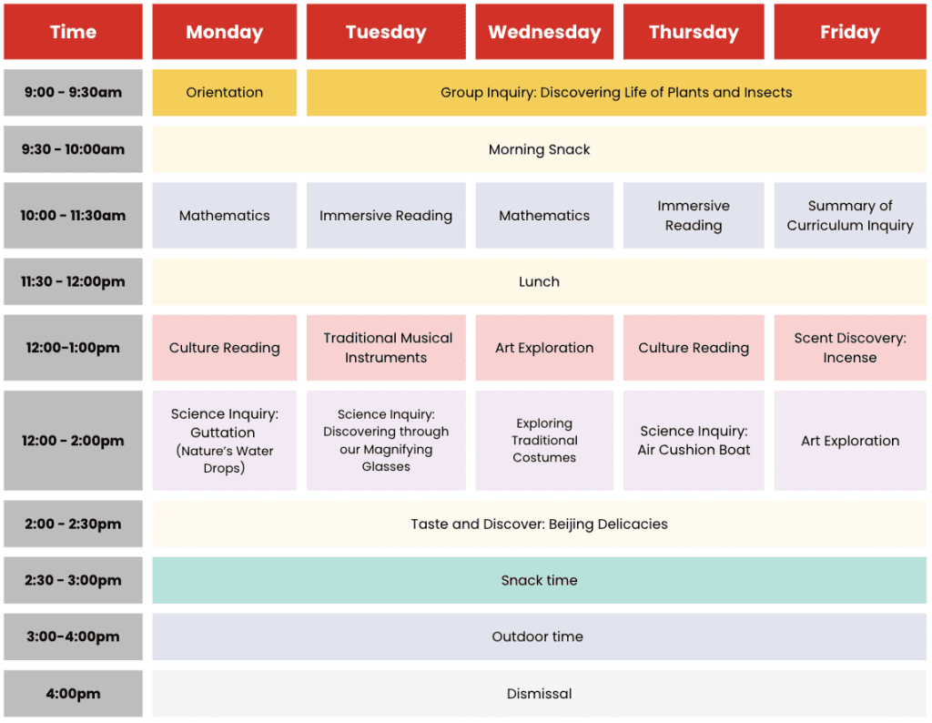 Beijing's Pure Immersion Programme