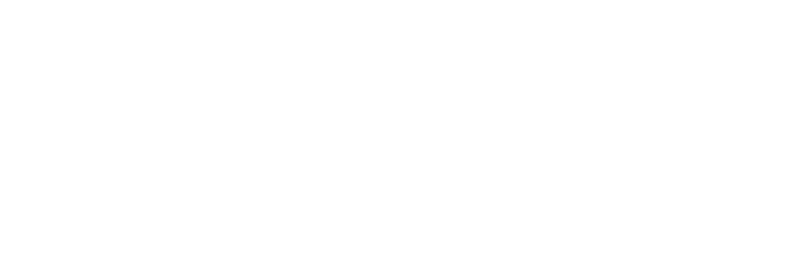City logo_white