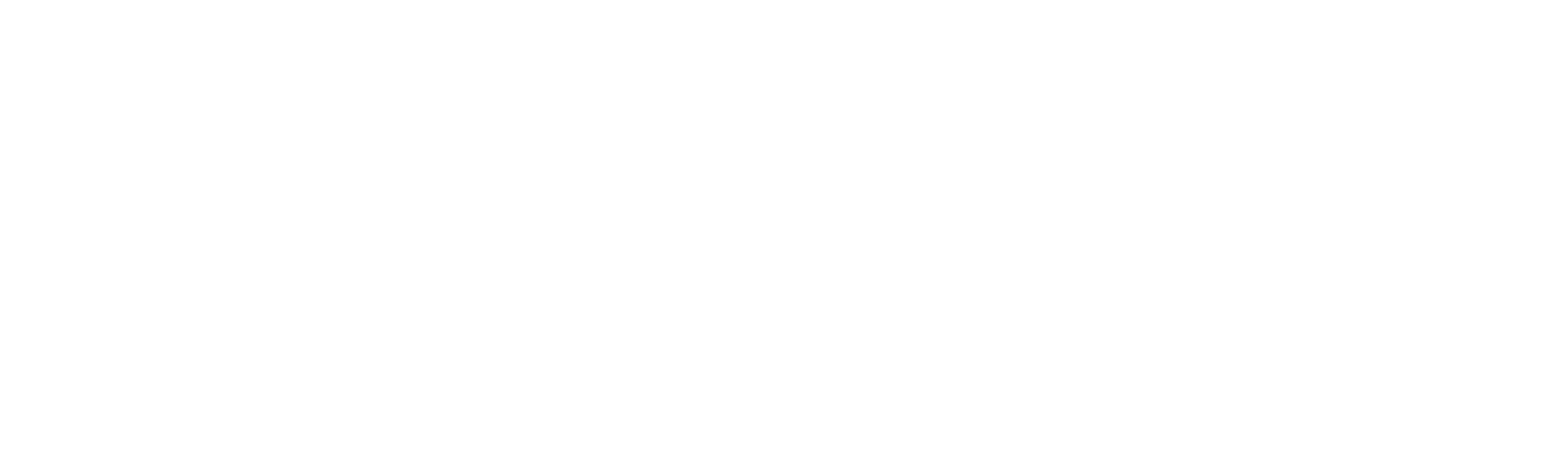 Newton Pre-School Logo_white (1)