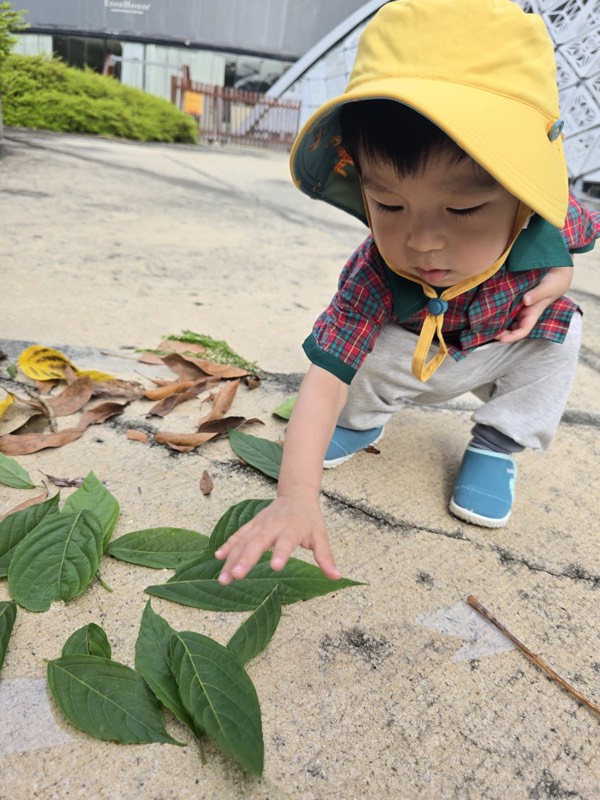 A Pre-Nursery child touching green leaves outdoors