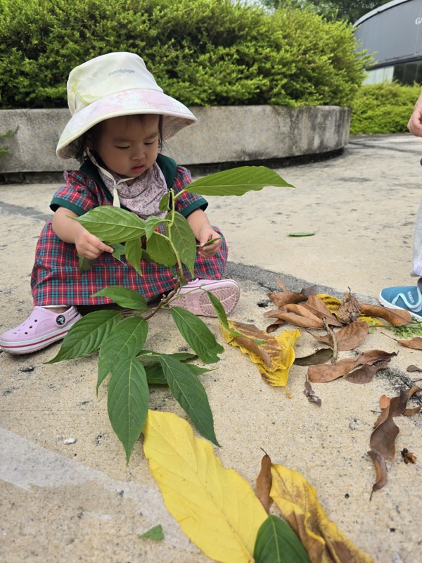 A Pre-Nursery child observing a leafy branch