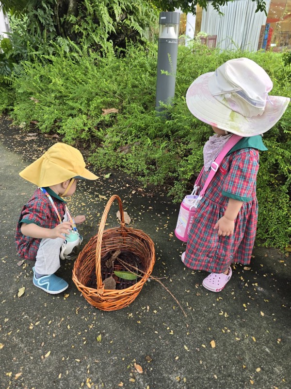 Pre-Nursery children placing leaves and twigs into a basket