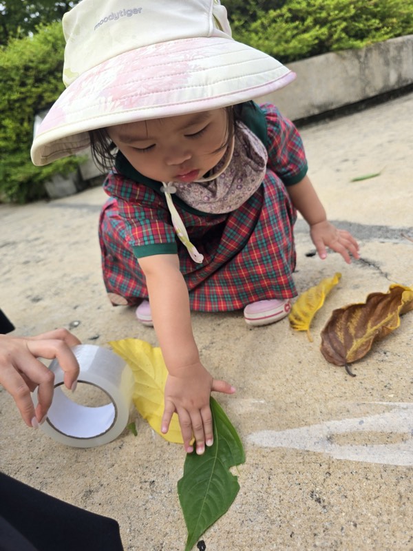 A Pre-Nursery child pressing a leaf onto clear tape