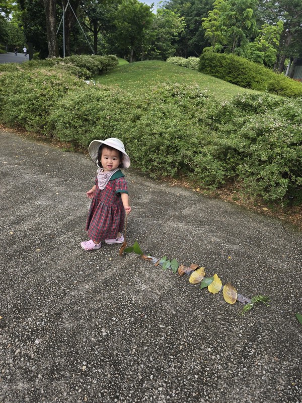A Pre-Nursery child pulling a connected trail of leaves